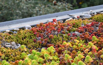 the cost of Thames Ditton green roof installation
